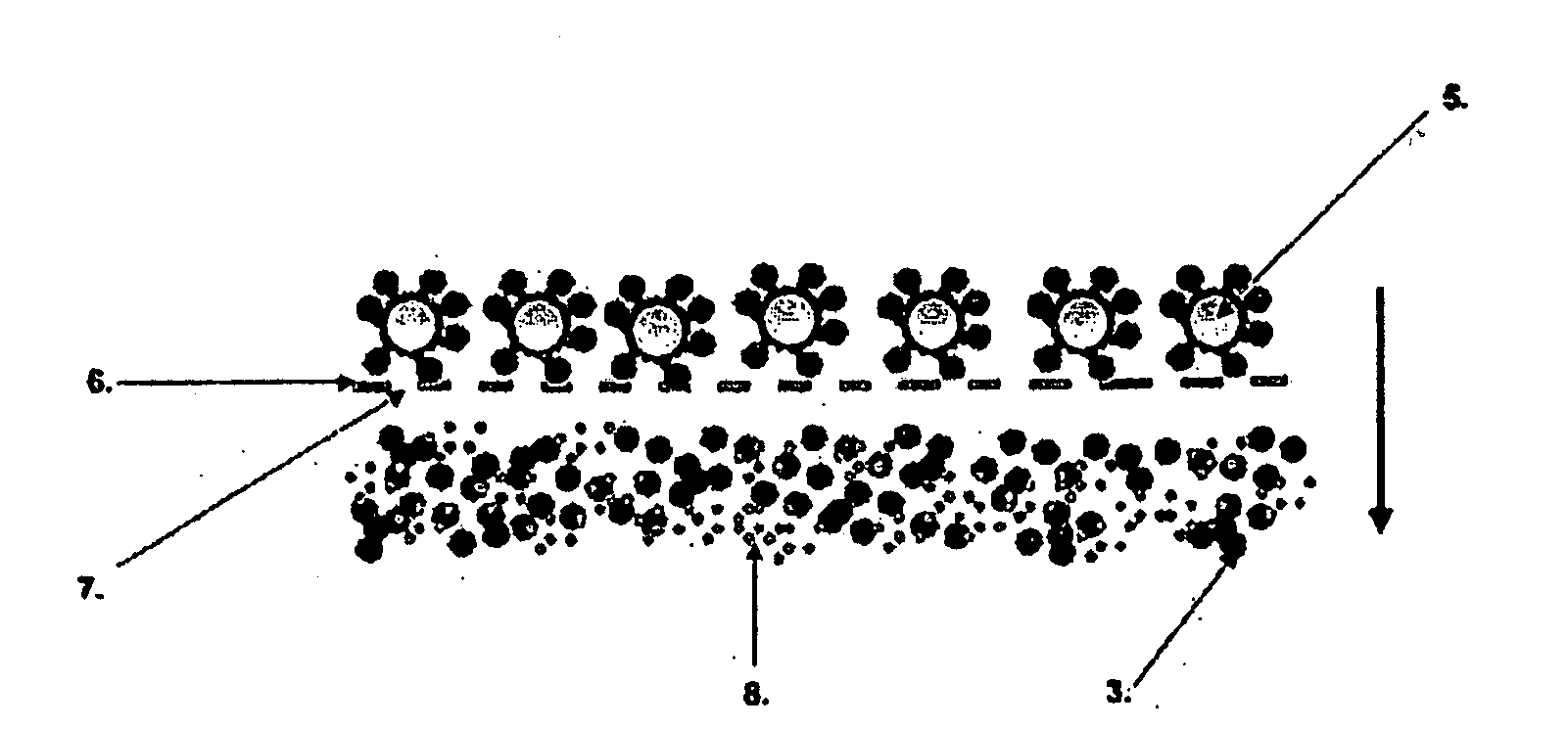 Particle Based Binding Assay