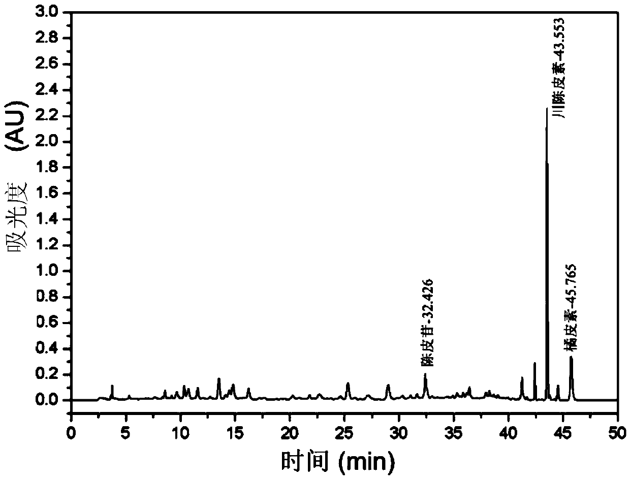 Denture care solution containing enzyme and pericarpium citri reticulatae extract and preparation method thereof