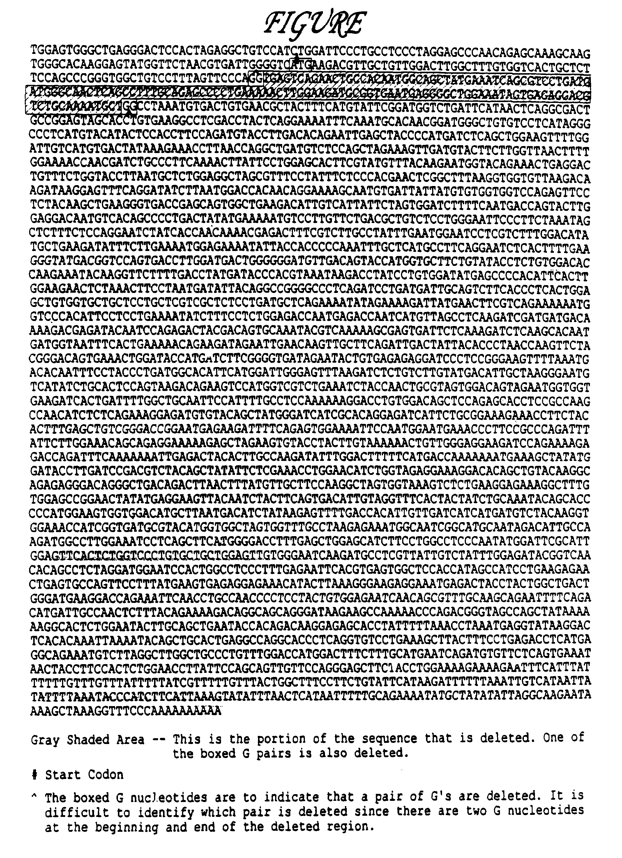 Compositions that specifically bind to colorectal cancer cells and methods of using the same