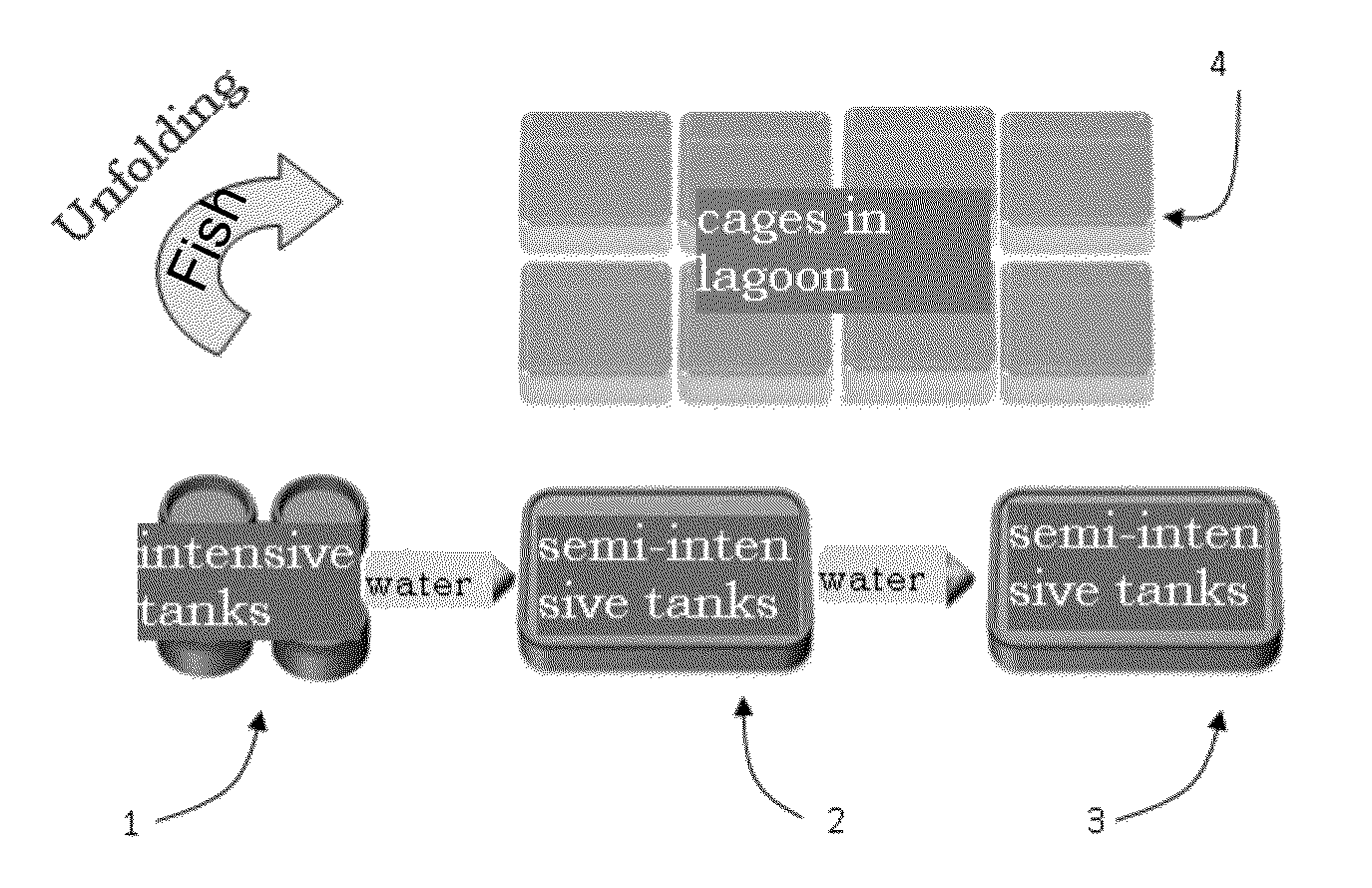 Method and system for aquaculture