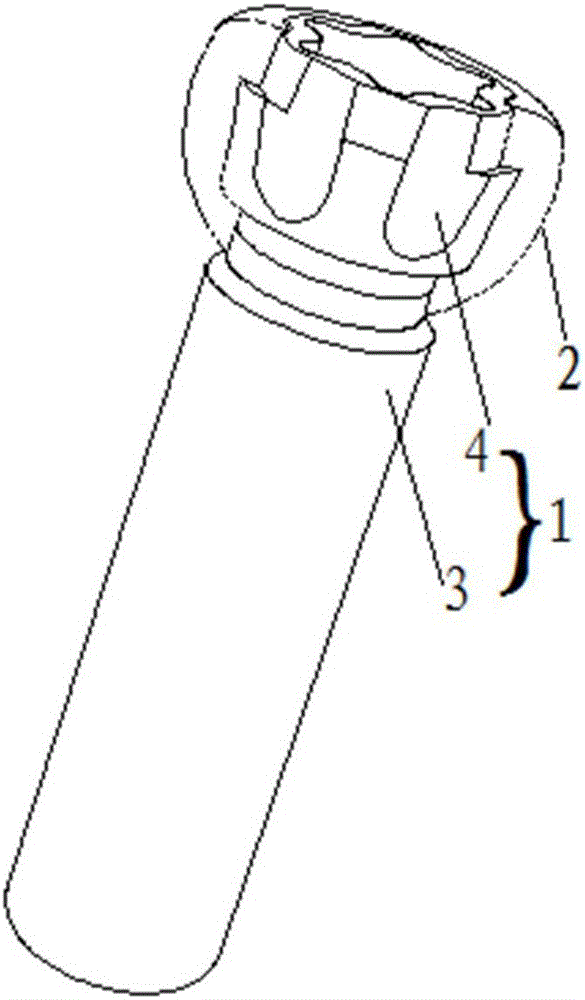 Composite screw and composite fixing assembly