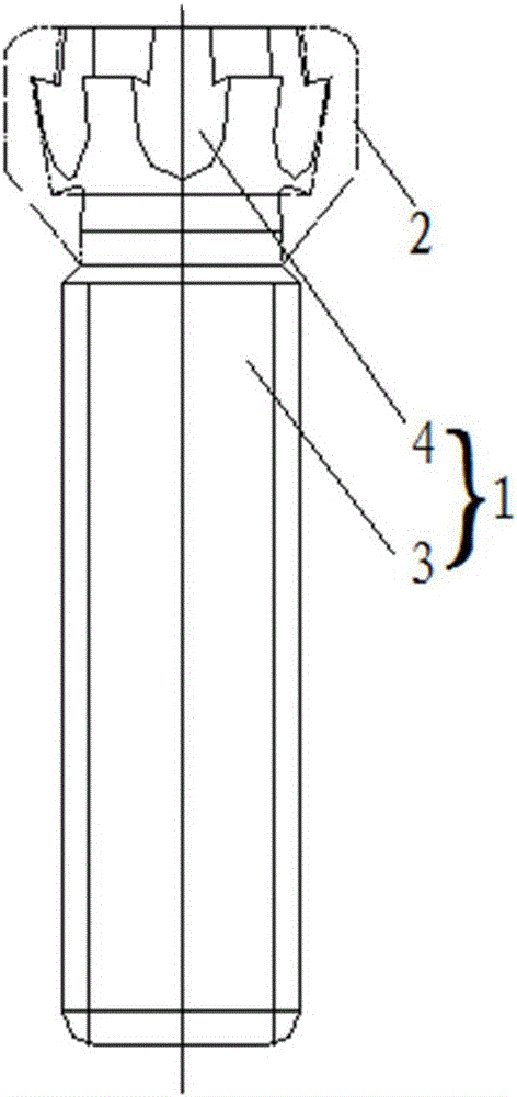 Composite screw and composite fixing assembly