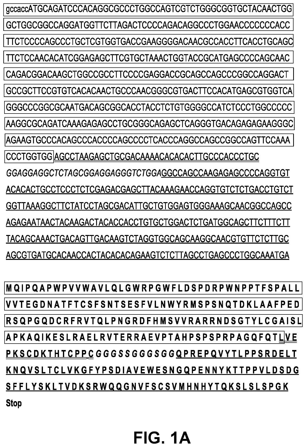 Induction and enhancement of antitumor immunity involving sindbis virus vectors expressing immune checkpoint proteins