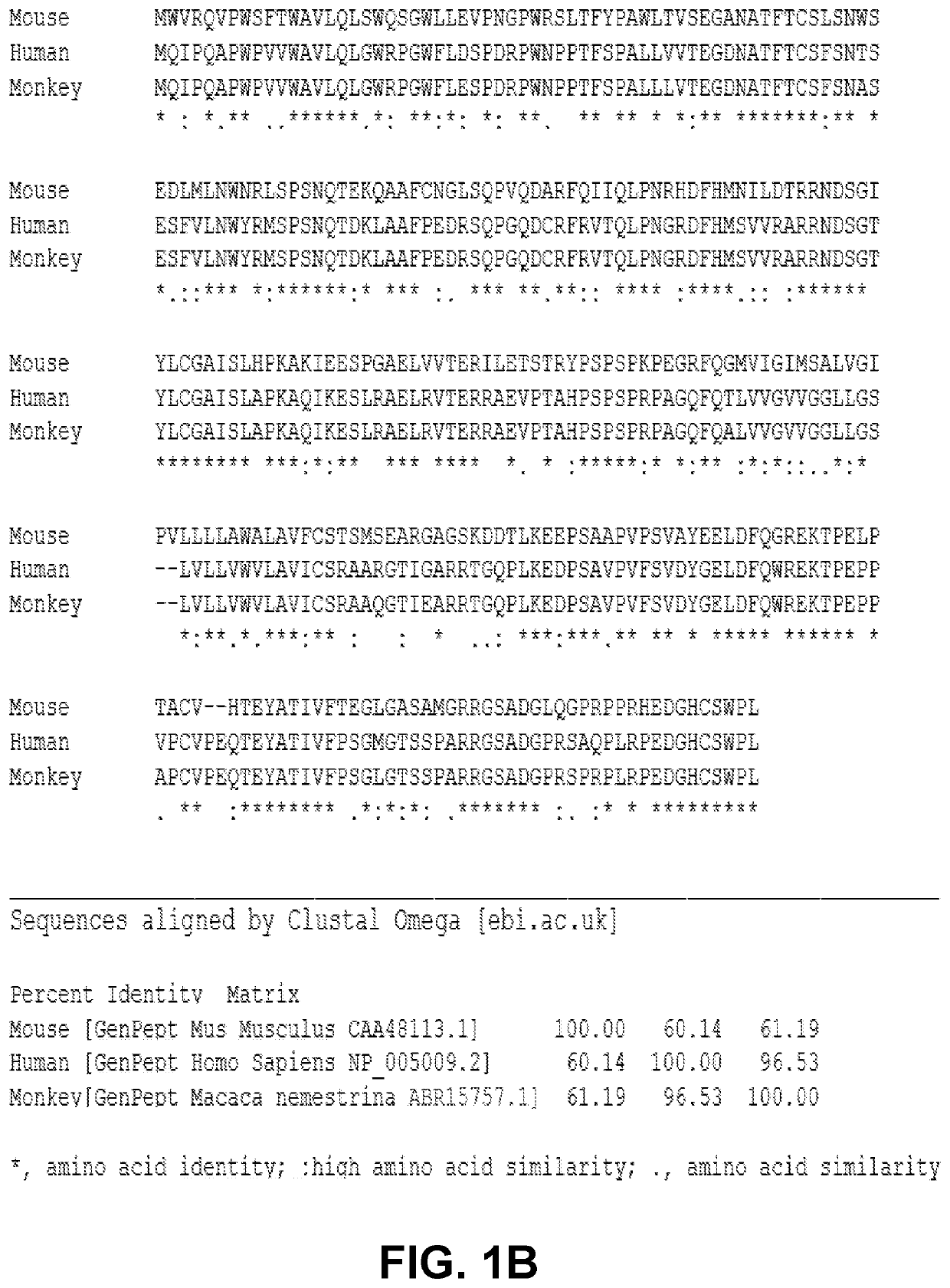 Induction and enhancement of antitumor immunity involving sindbis virus vectors expressing immune checkpoint proteins