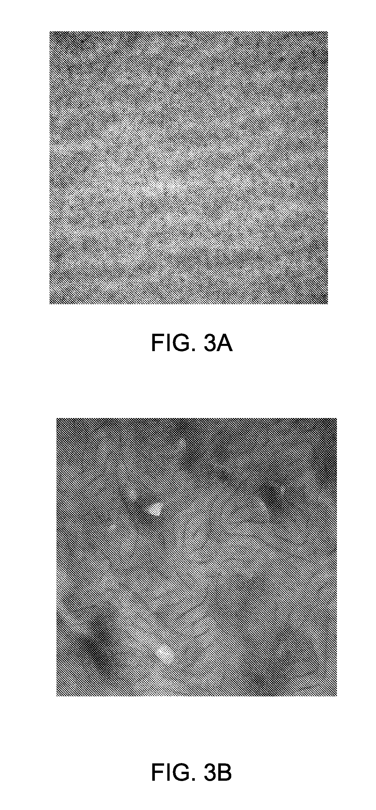 Block copolymer membranes and associated methods for making the same