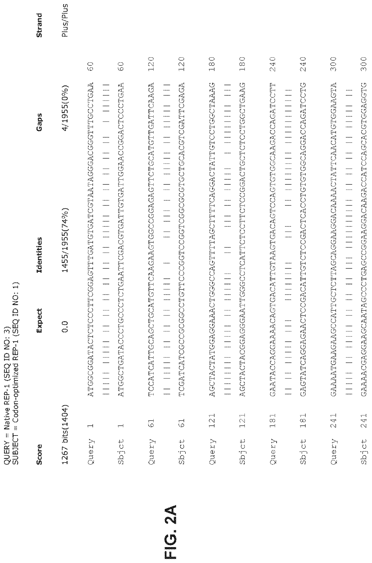 Gene therapy for ocular disorders