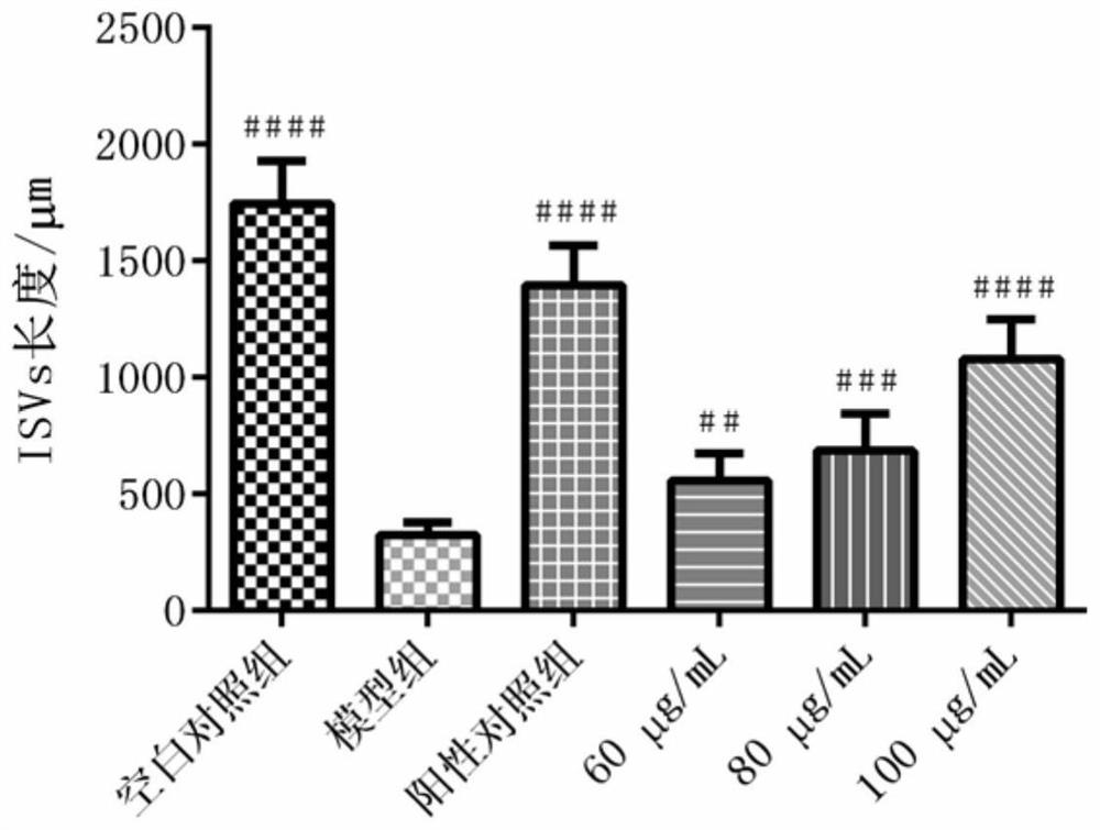 Application of marine-derived phospholipid on aspect of accelerating angiogenesis