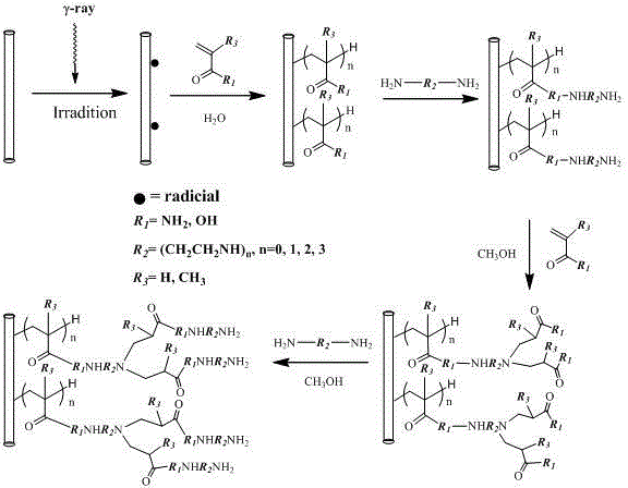 Dendritic high-density solid amine fiber material and preparation method therefor