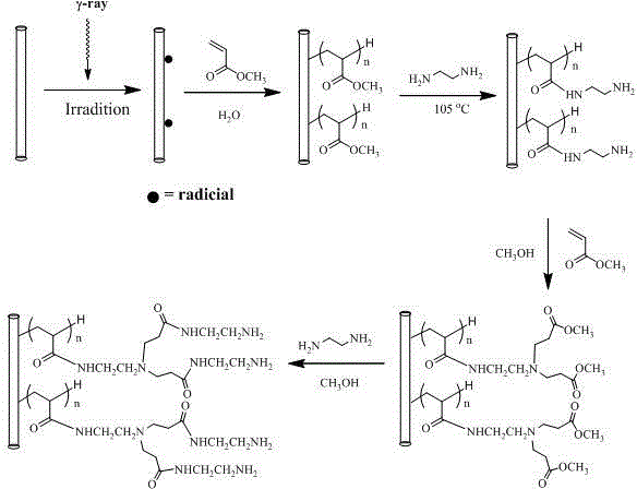 Dendritic high-density solid amine fiber material and preparation method therefor