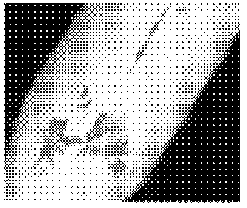 Medicine balloon based on hydrogen bond effects and coating method thereof