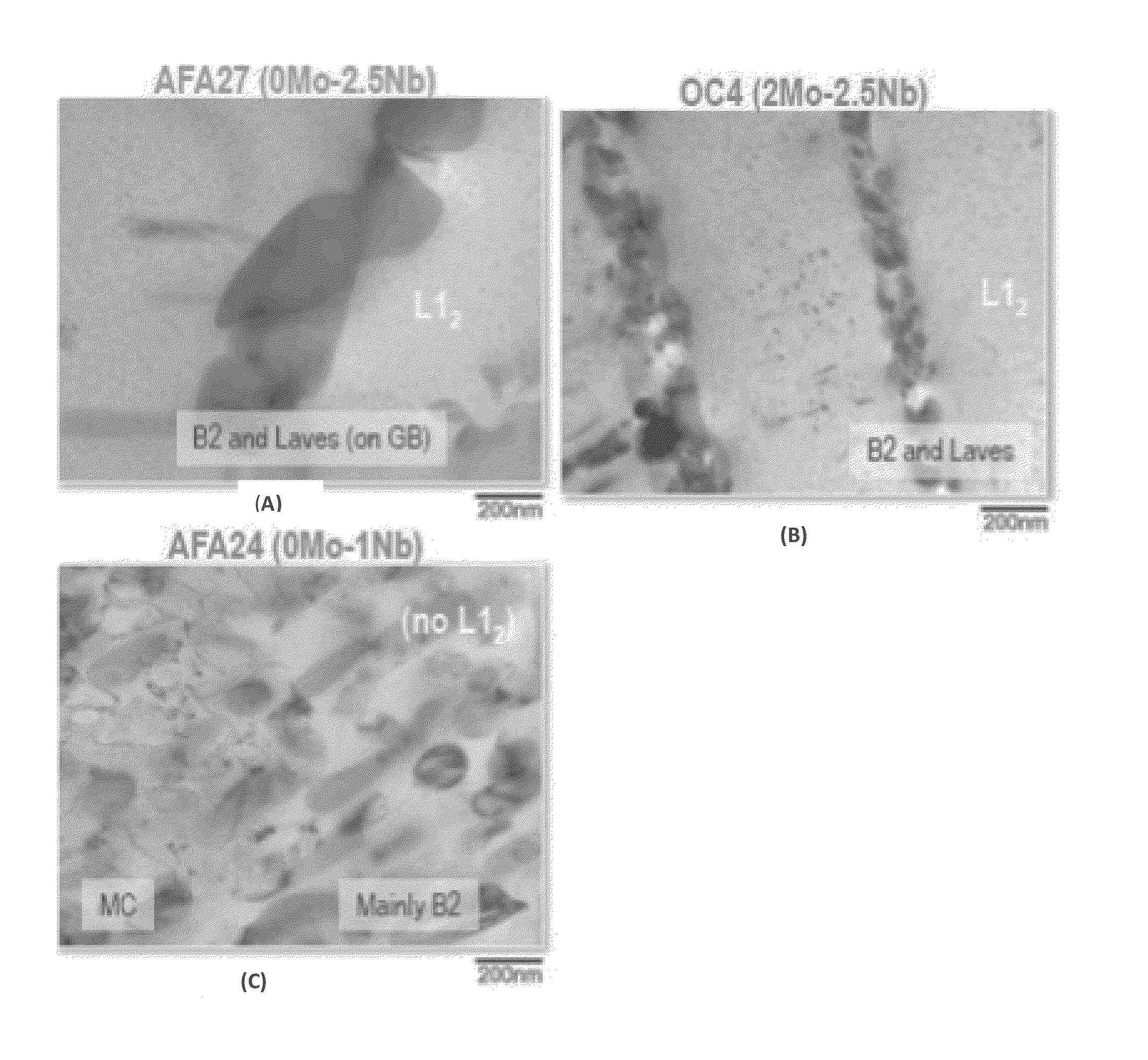 Alumina Forming Iron Base Superalloy