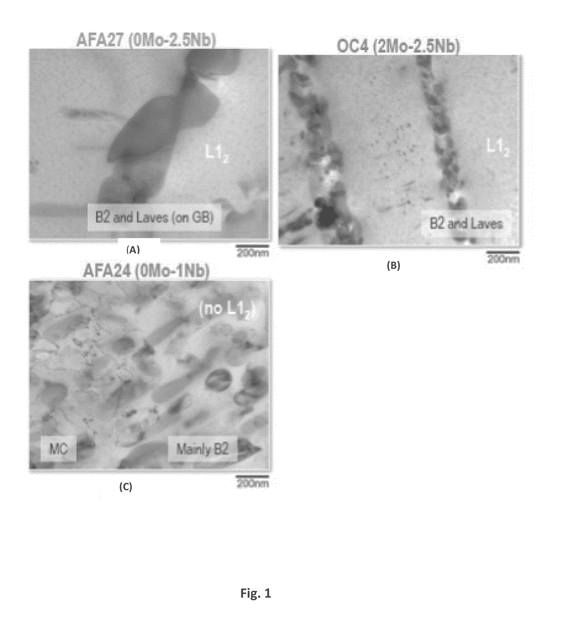 Alumina Forming Iron Base Superalloy