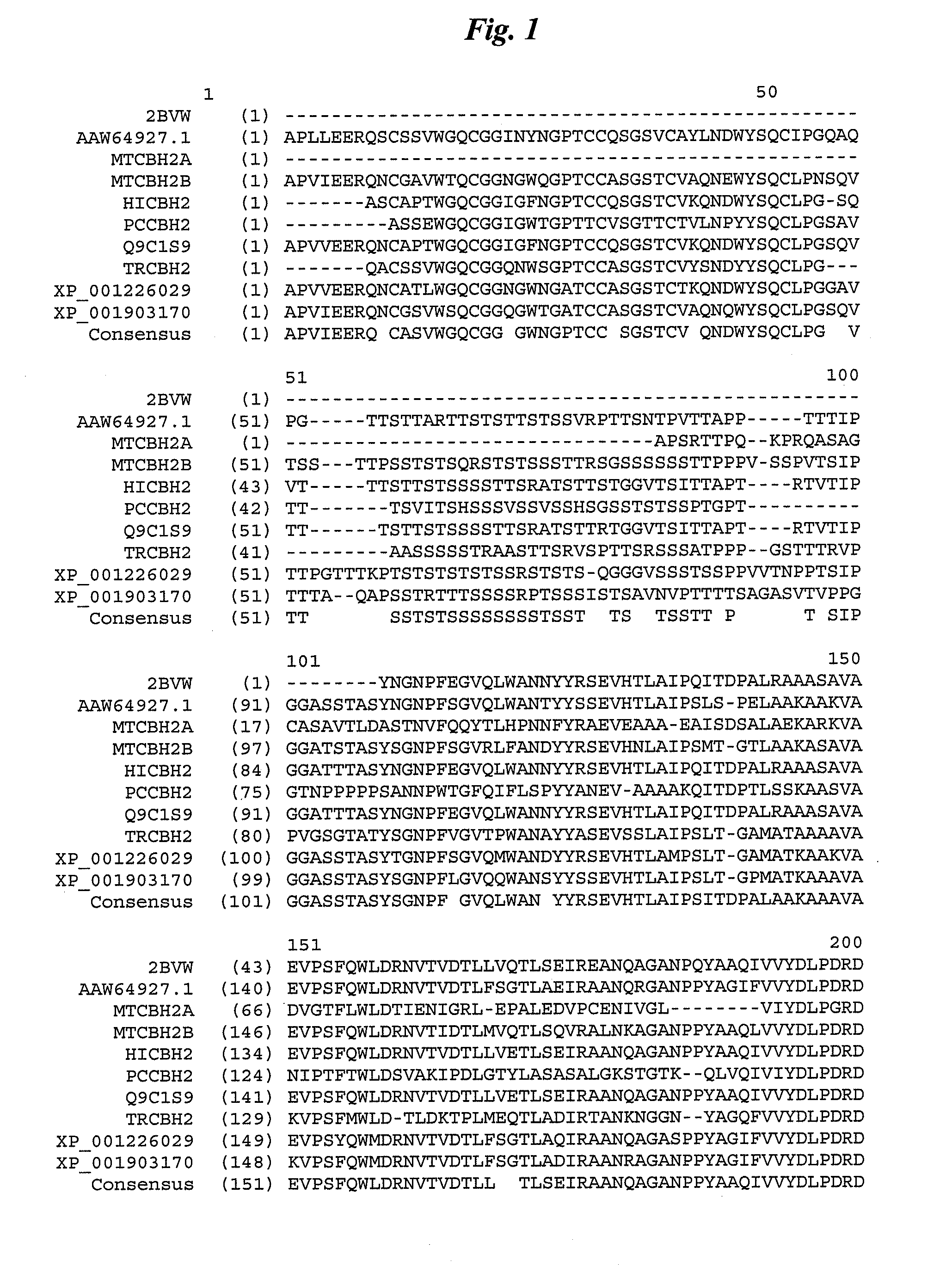 Cellobiohydrolase variants