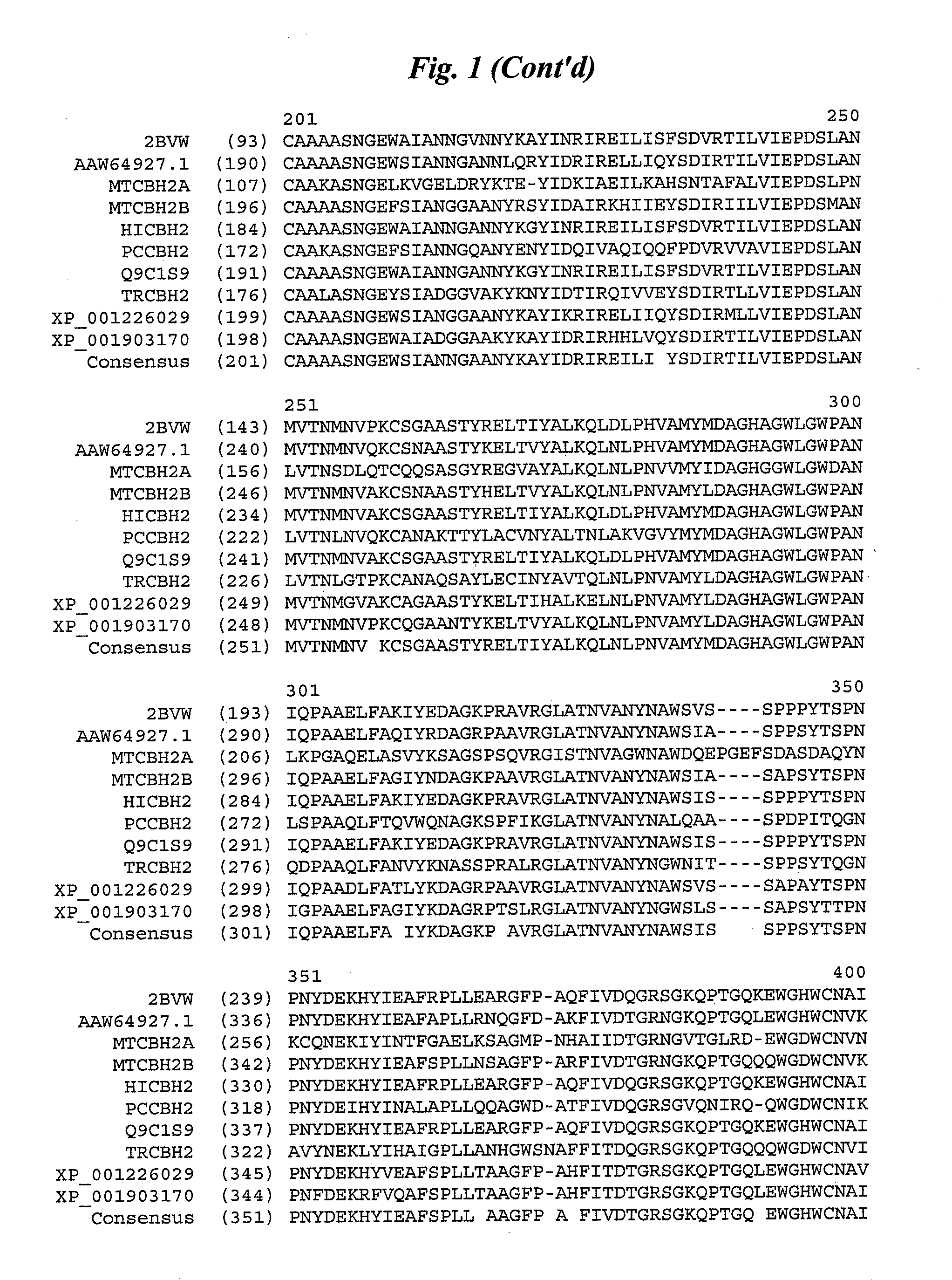 Cellobiohydrolase variants