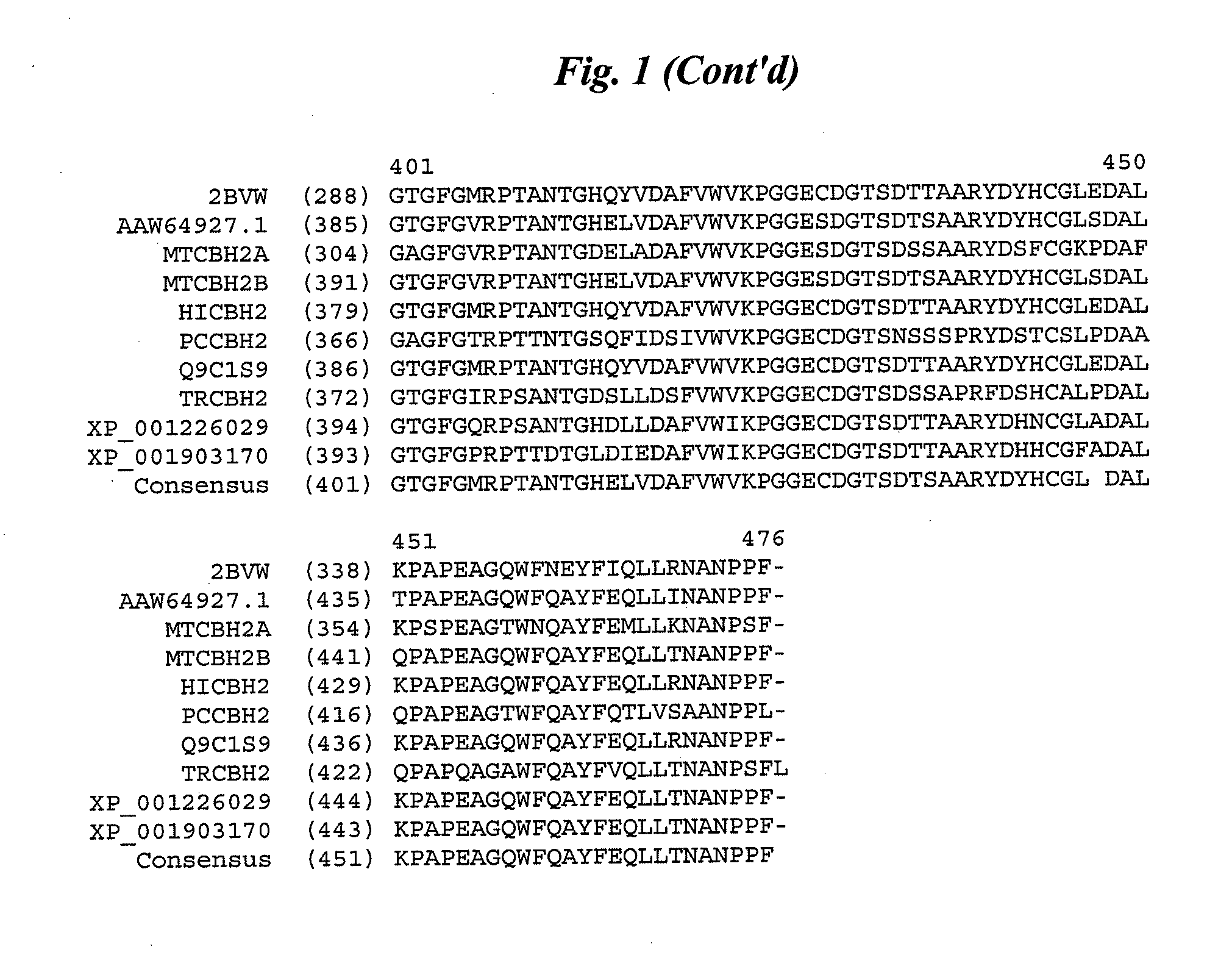 Cellobiohydrolase variants