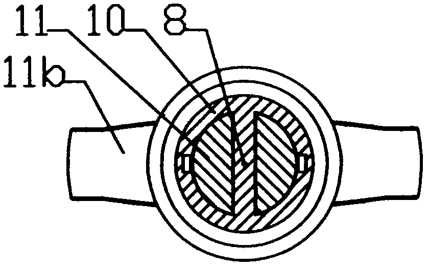 Multi-functional stone extractor