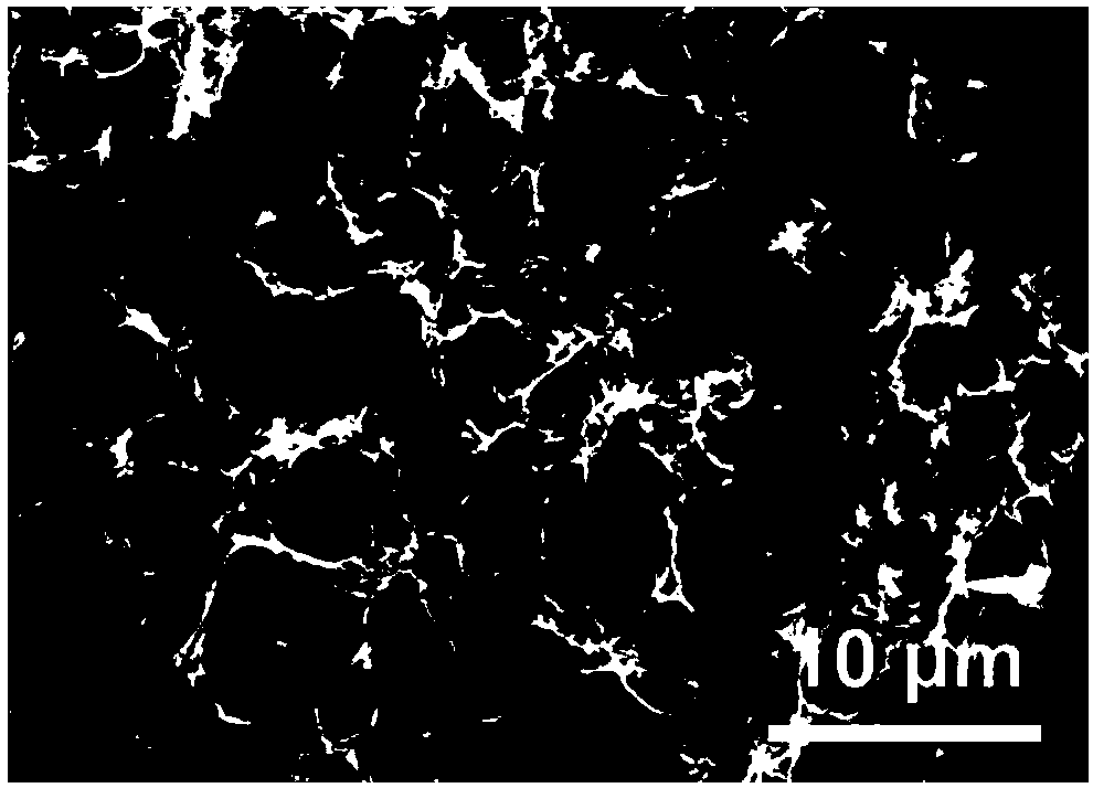 Sulfur and nitrogen codoped graphene-based aerogel and preparation method thereof