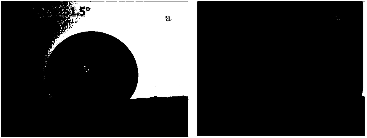 Sulfur and nitrogen codoped graphene-based aerogel and preparation method thereof