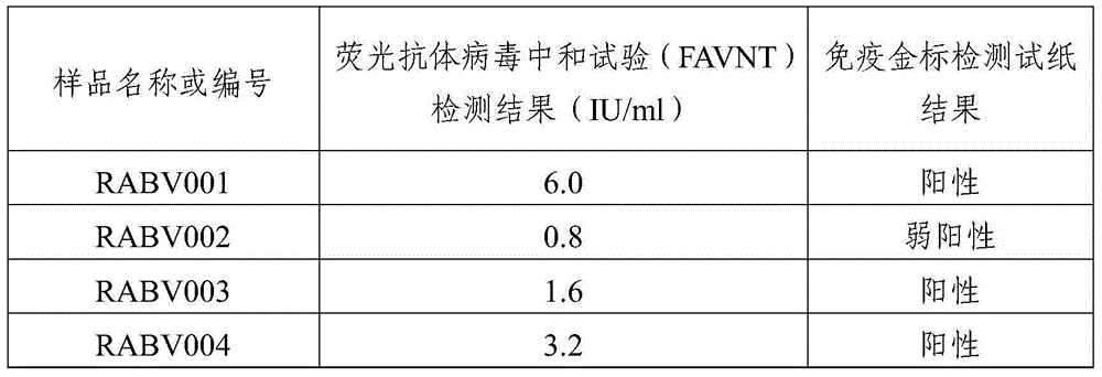 Rabies virus IgG antibody immune gold-labeled test paper and preparation method thereof