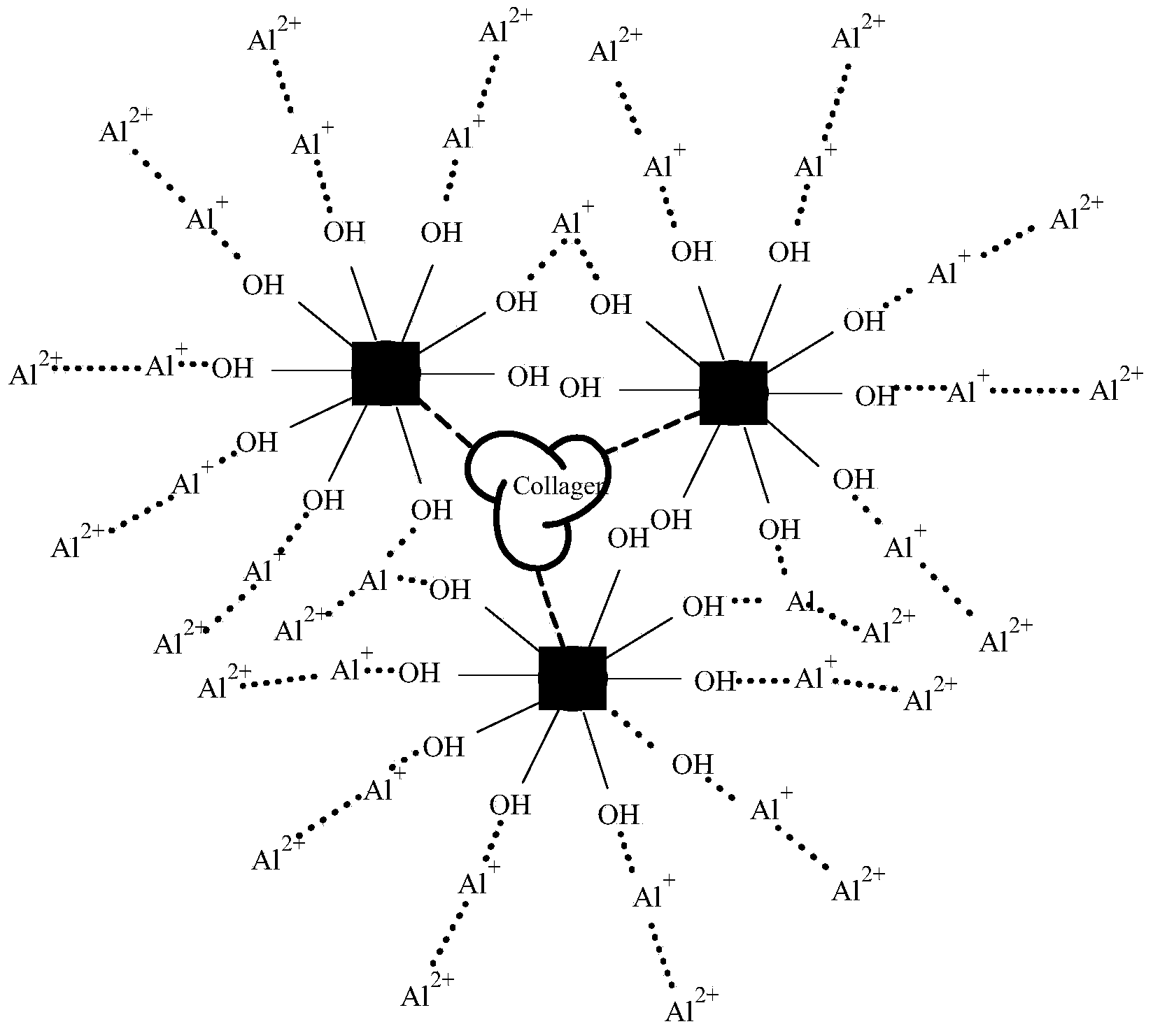 Synthetic method of collagen hyperbranched polyester/metallic ion loaded fluoride adsorbent