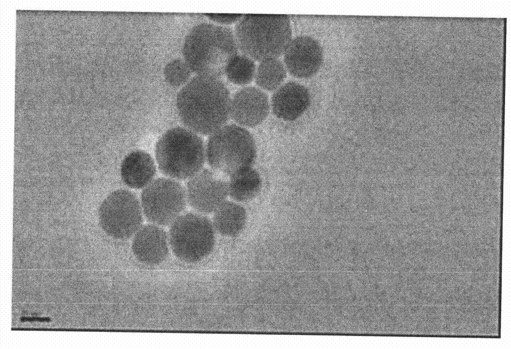 Method for preparing spherical nanomonocrystalline particle