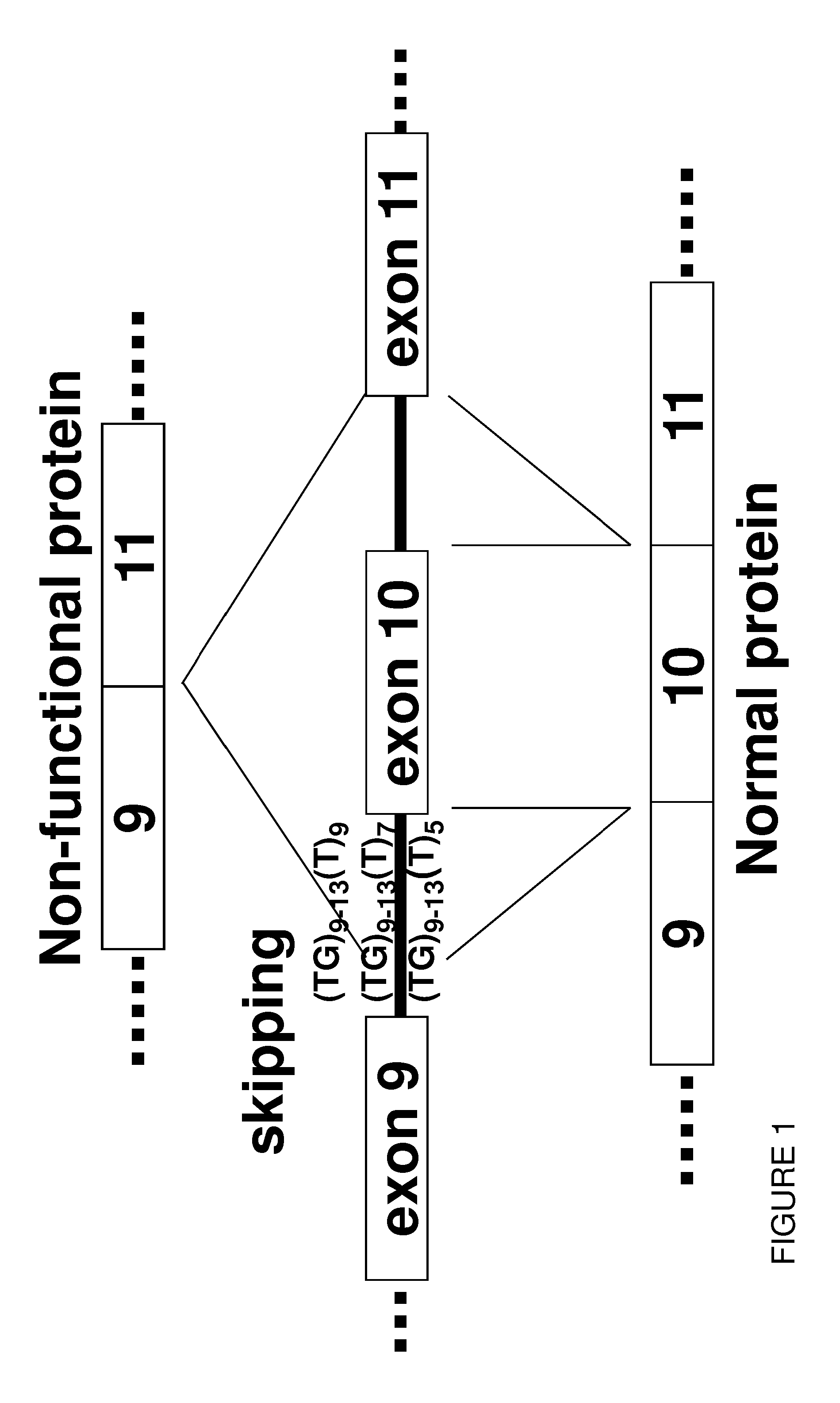 Restoration Of The CFTR Function By Splicing Modulation