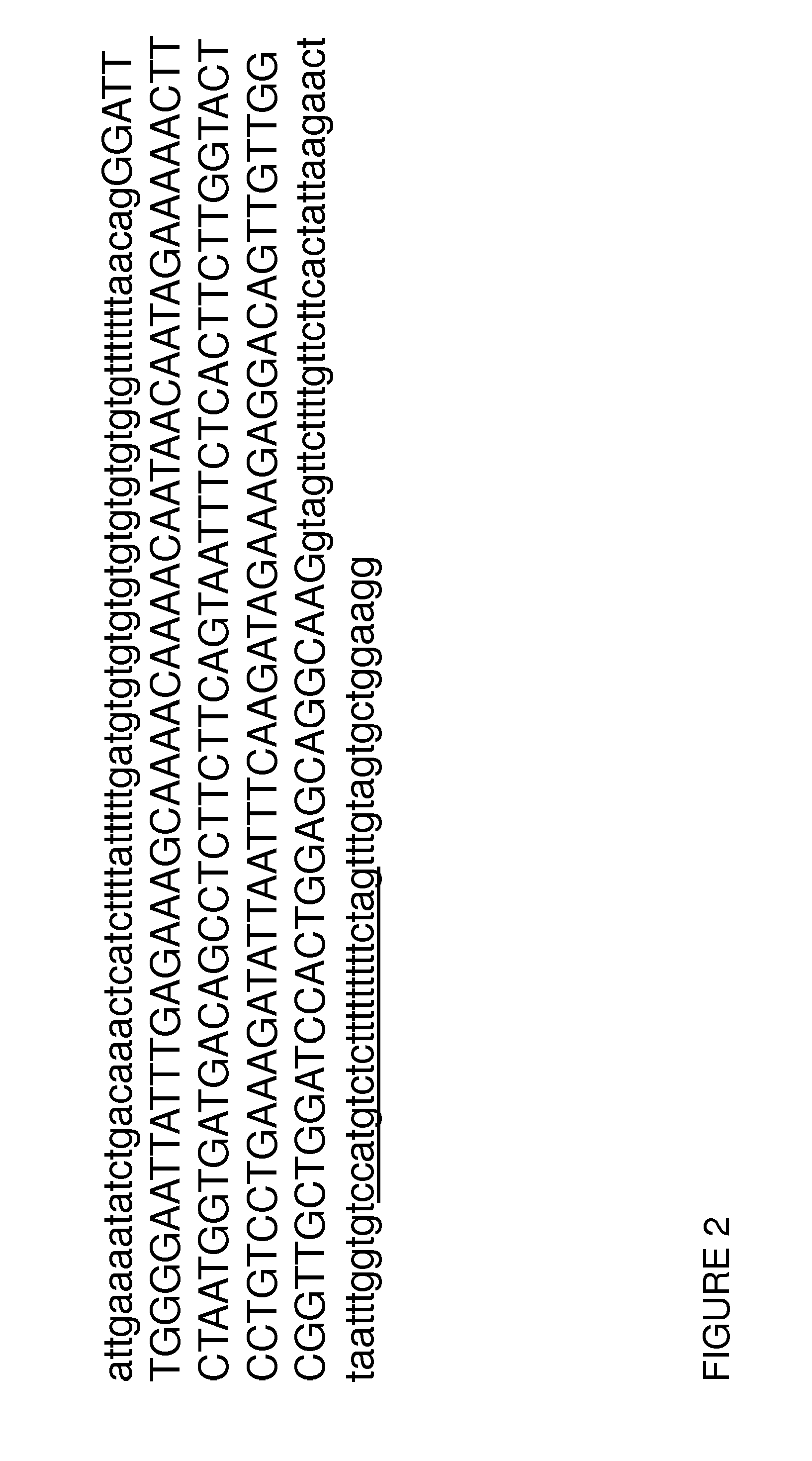 Restoration Of The CFTR Function By Splicing Modulation