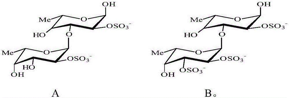 Novel fucoidan oligosaccharides as well as preparation method and application thereof