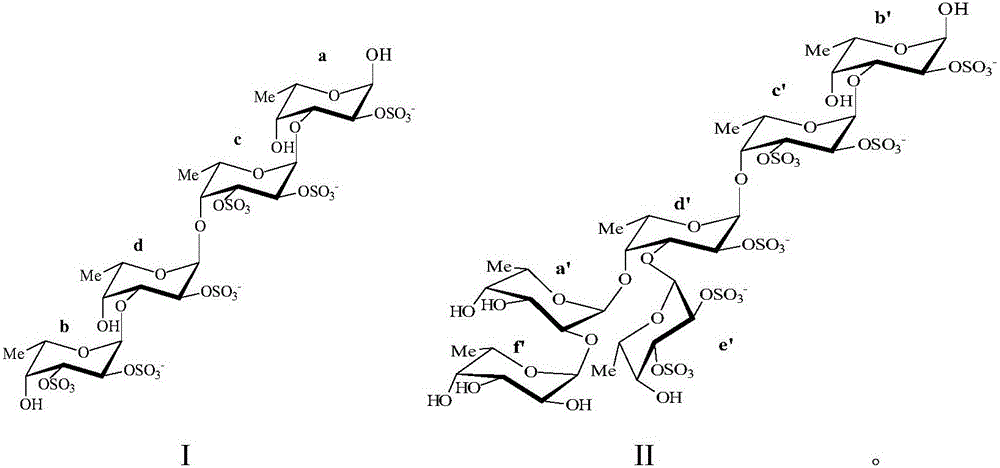 Novel fucoidan oligosaccharides as well as preparation method and application thereof