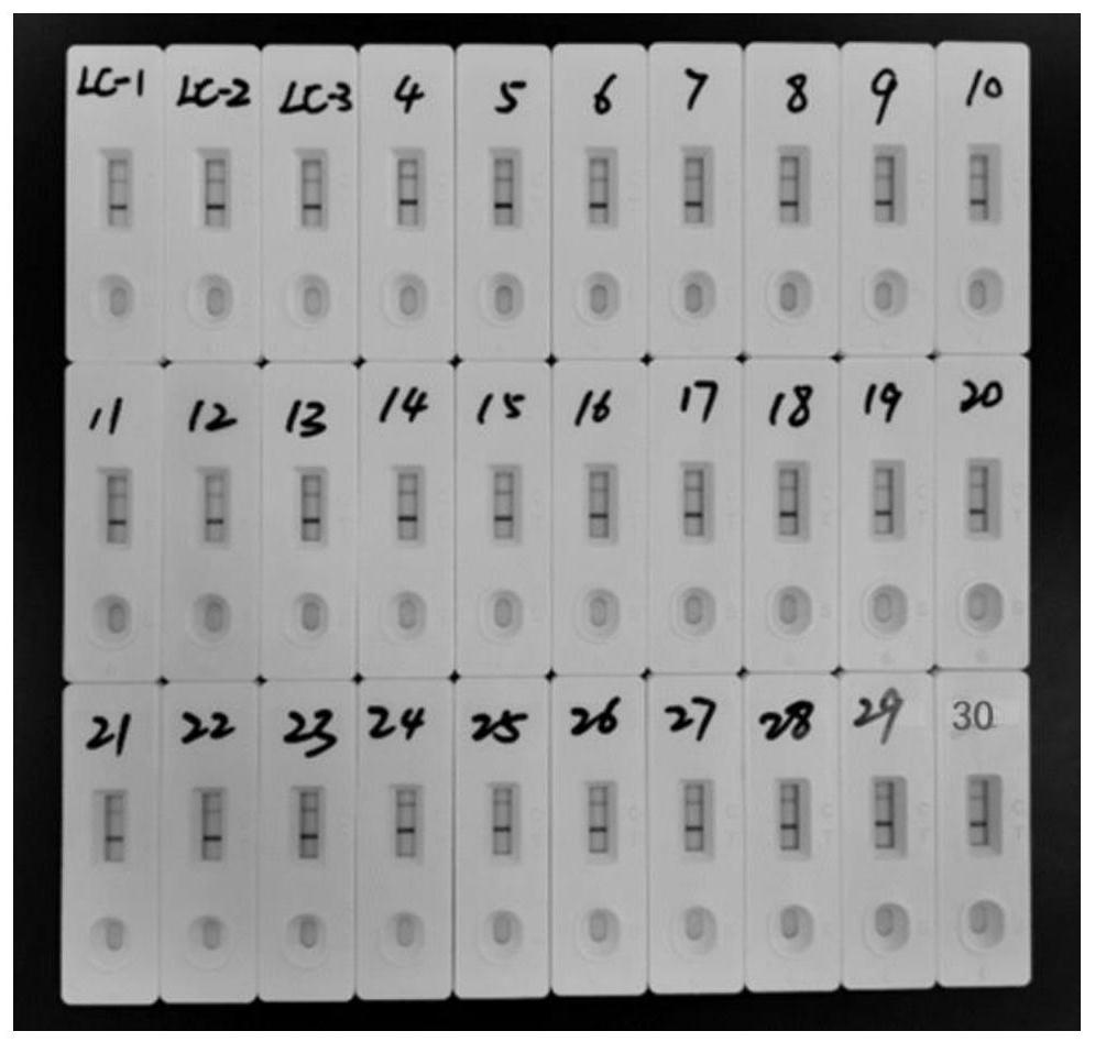 Diphenhydramine colloidal gold test strip and kit thereof