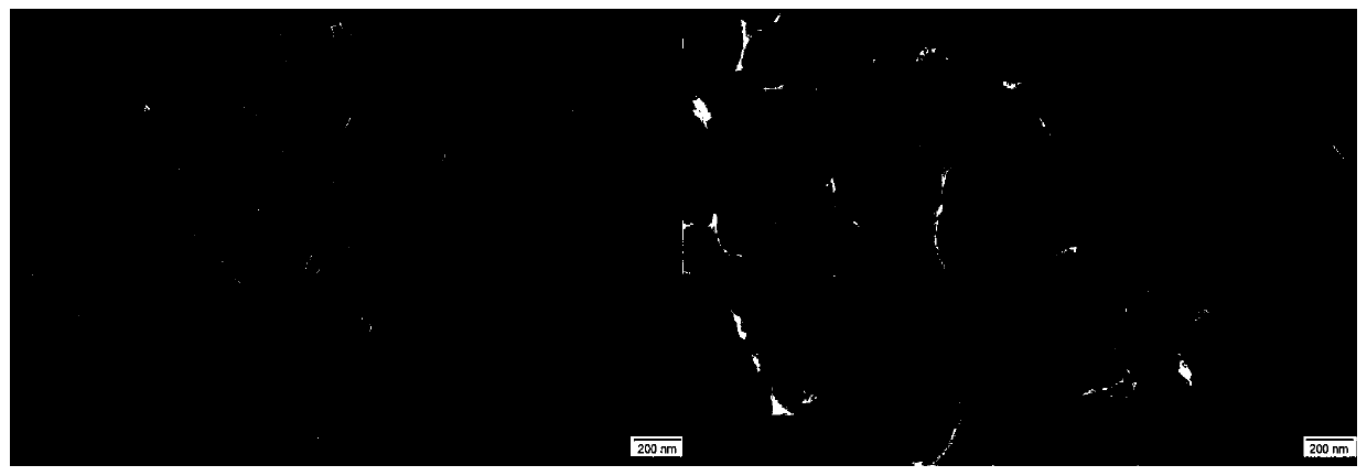 Deacidification agent based on sodium phytate-modified nano magnesium oxide and preparation method of deacidification agent