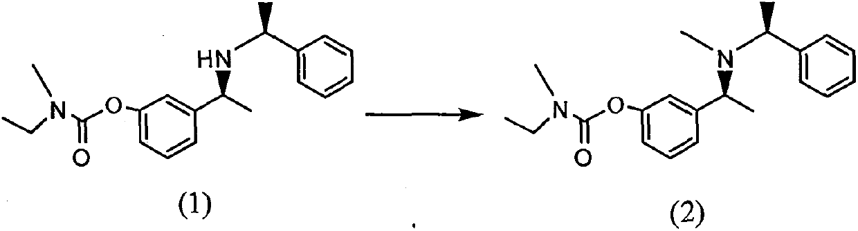 Novel rivastigmine preparation