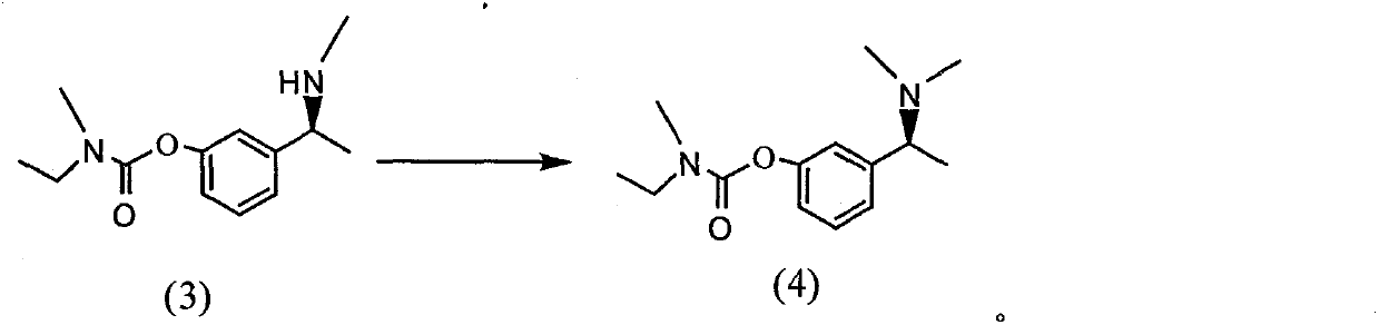 Novel rivastigmine preparation