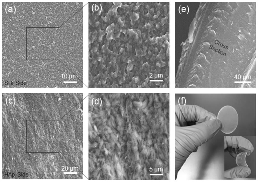 A kind of hap-csa-sf composite gel material and its preparation method and application