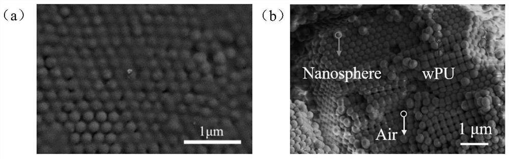 Photonic crystal structure chromogenic fabric and preparation method thereof