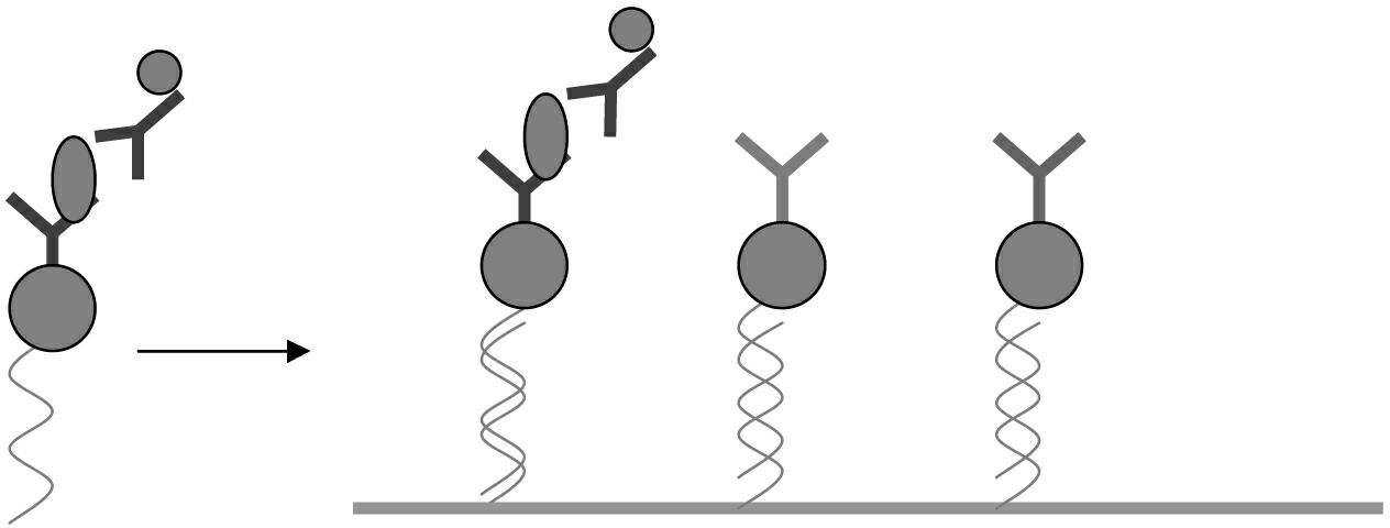 High flux detection method and biochip based on nucleic acid address coding