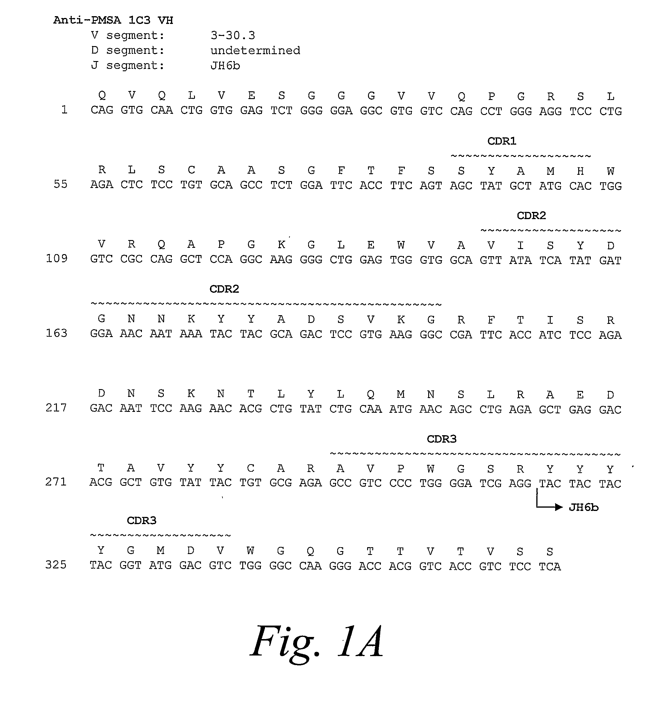 Human Monoclonal Antibodies to Prostate Specific Membrane Antigen (PSMA)