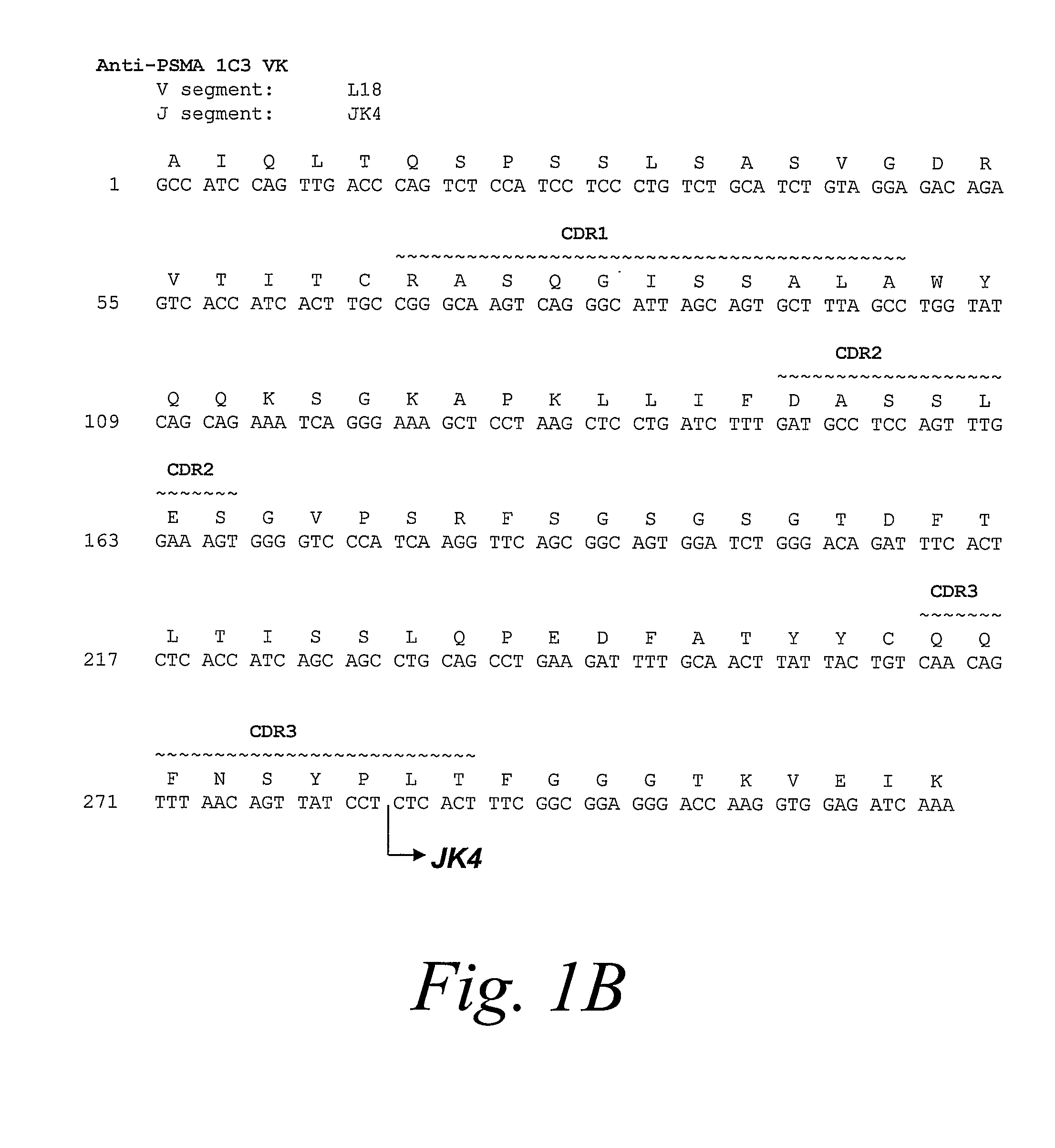 Human Monoclonal Antibodies to Prostate Specific Membrane Antigen (PSMA)