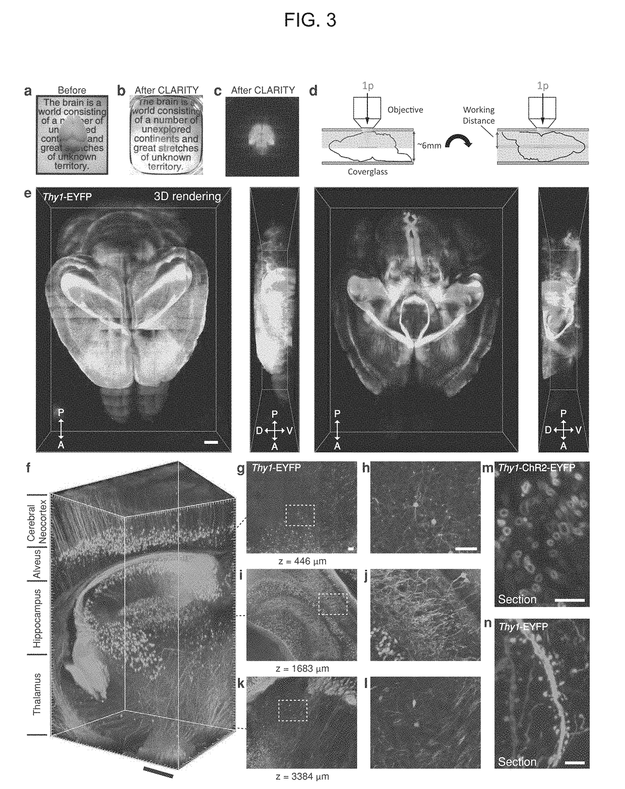 Methods and Compositions for Preparing Biological Specimens for Microscopic Analysis