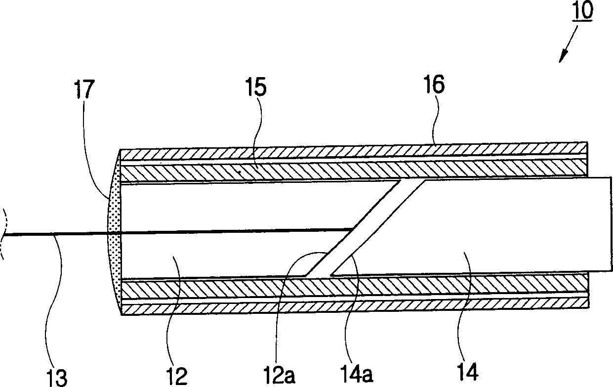 Apparatus for producing parallel light pipe and method thereof