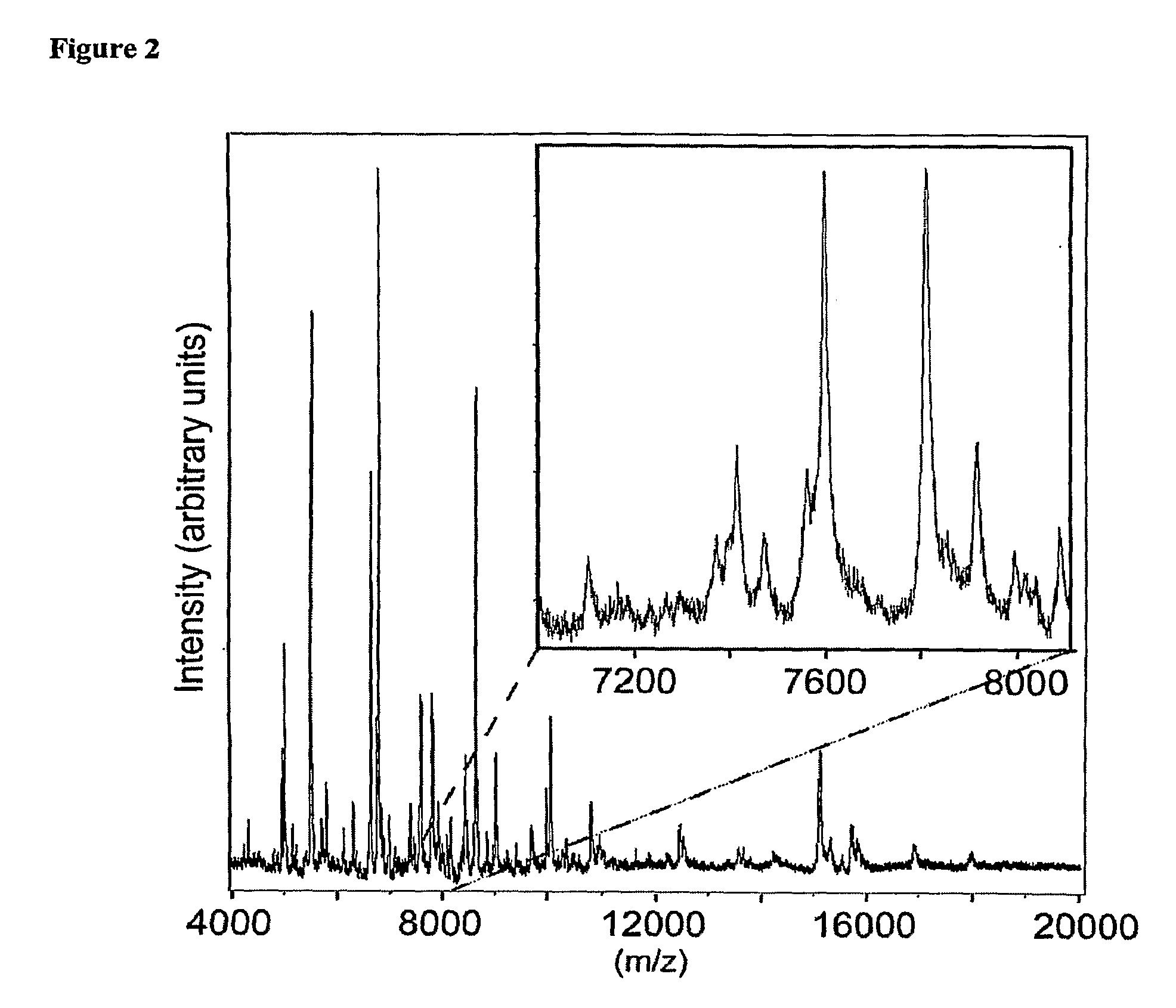 Tissue Sample Preparation and MALDI MS Imaging Thereof