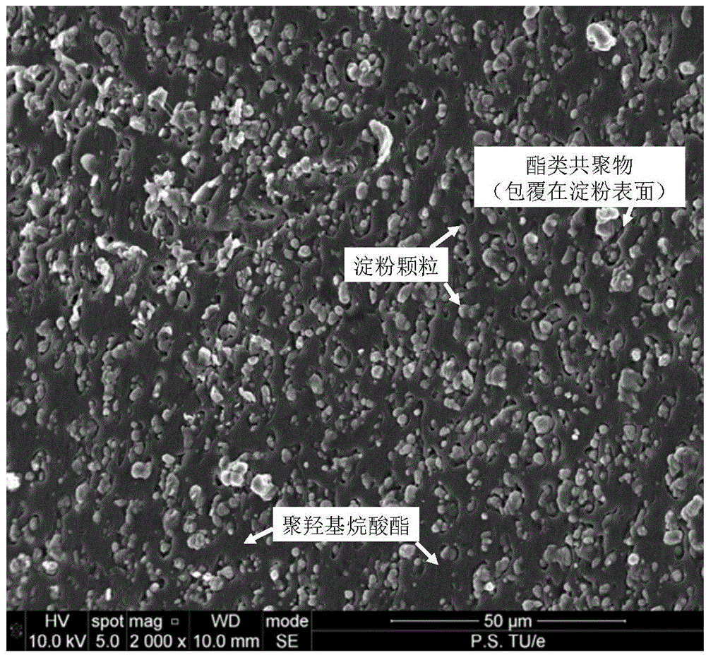 Polyhydroxyalkanoate composite material and preparation method thereof