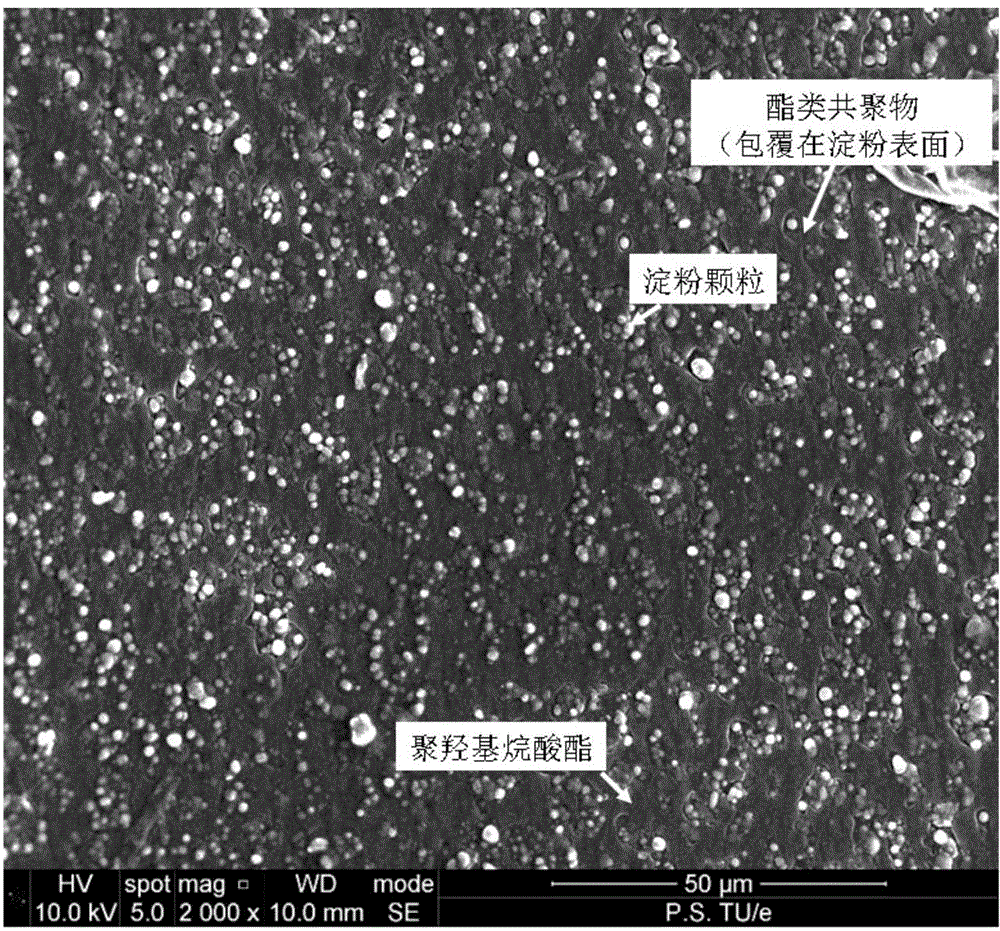 Polyhydroxyalkanoate composite material and preparation method thereof