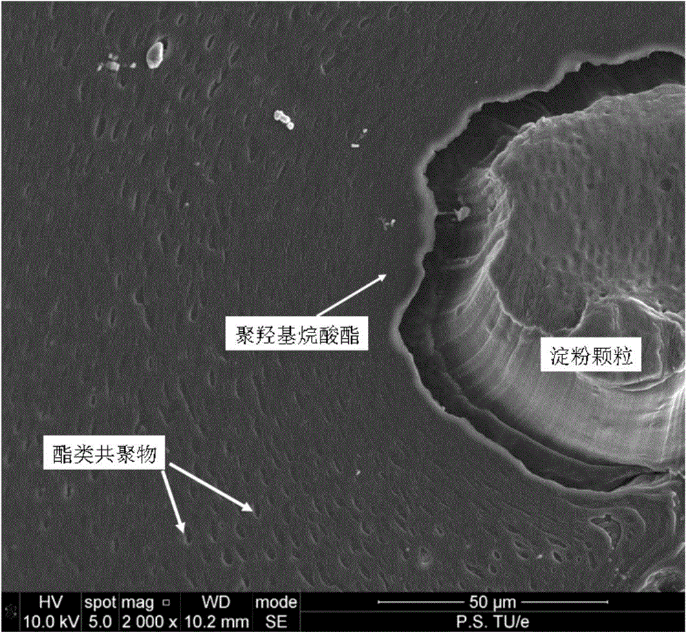 Polyhydroxyalkanoate composite material and preparation method thereof