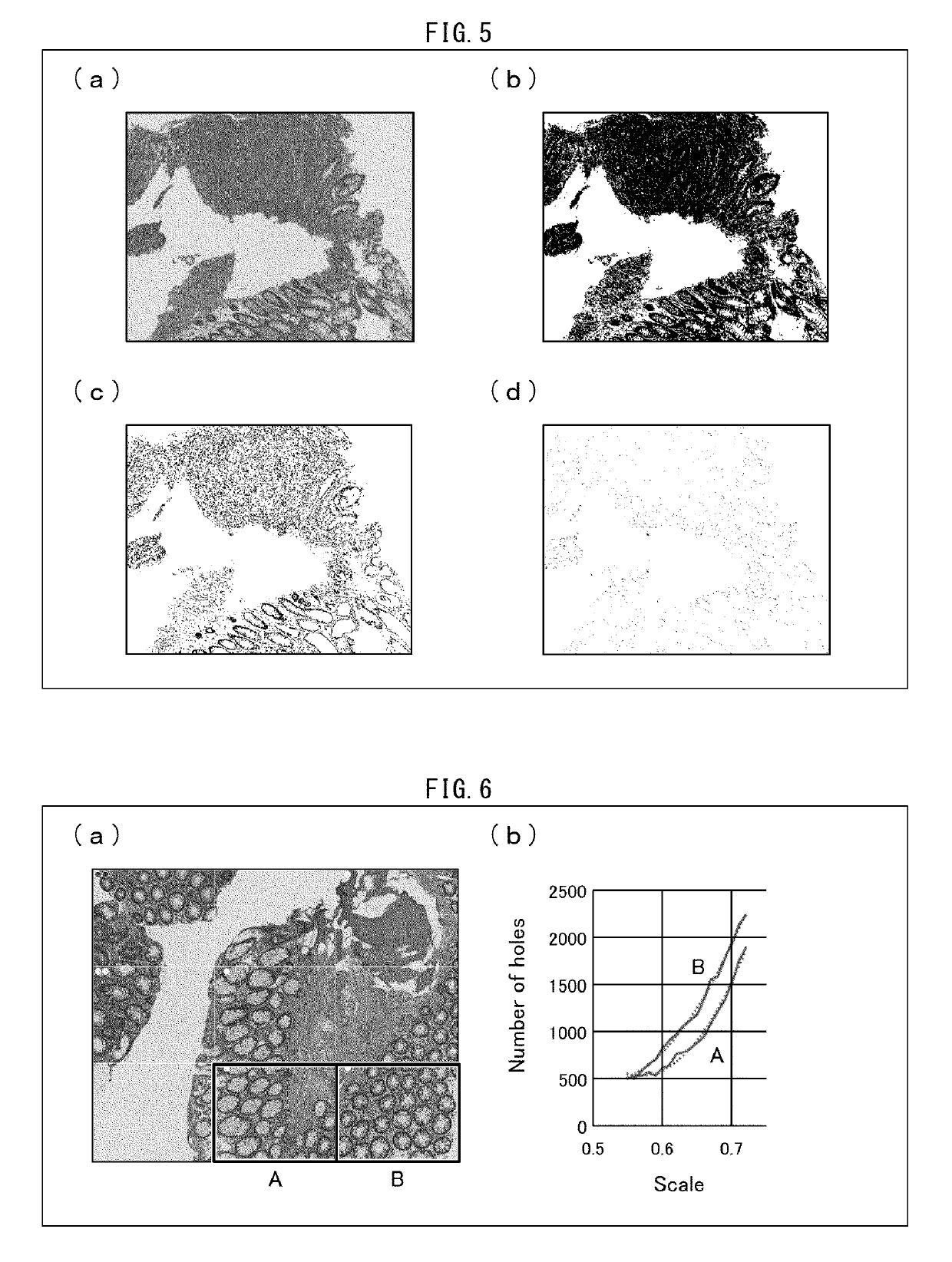 Image analysis device, image analysis method, image analysis system, and recording medium