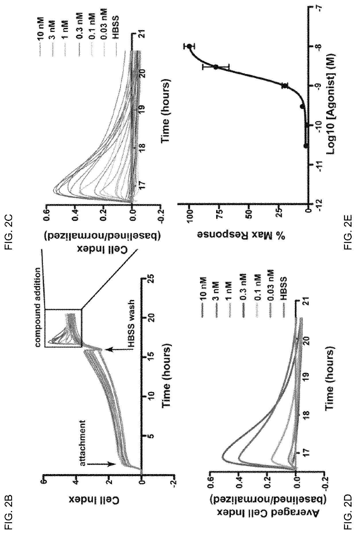 PAR2 mimetic peptides and uses thereof