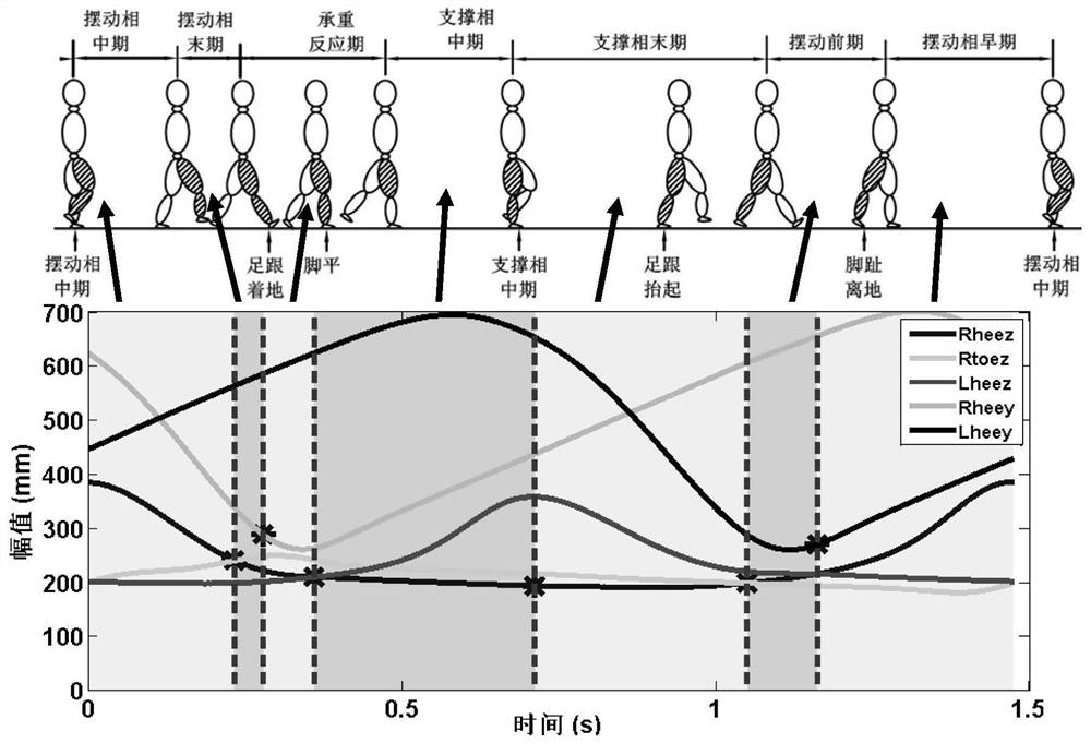 A gait recognition method based on brain electromyographic signals