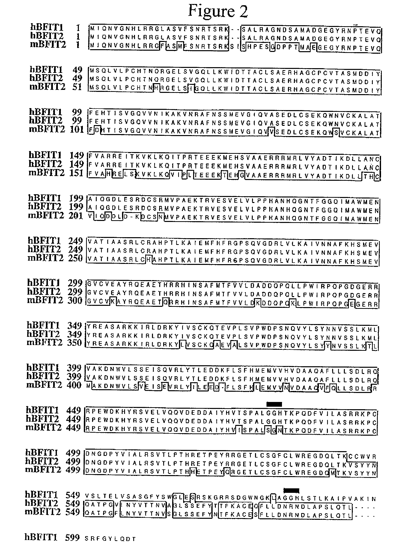 BFIT compositions and methods of use