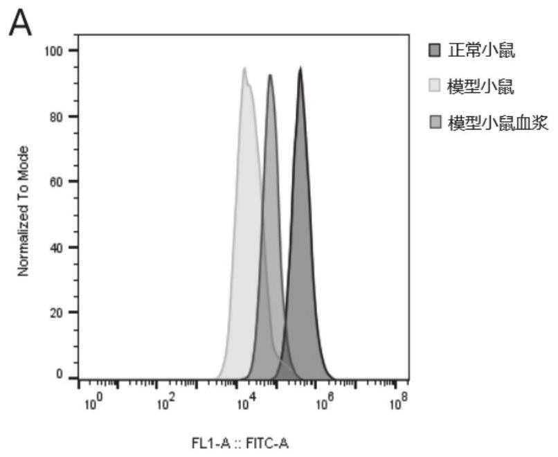 Application of heparin iron in preparation of medicine for treating renal anemia