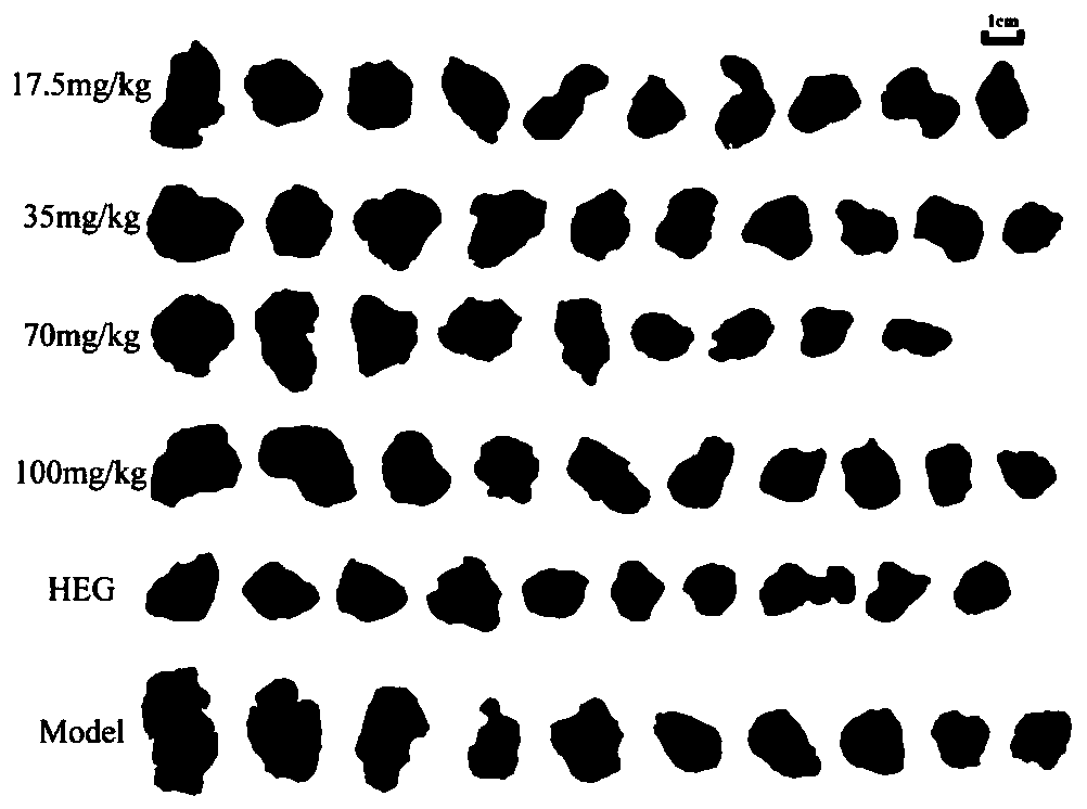 Preparation method of anti-tumor effective part in hibiscus tiliaceus and application thereof